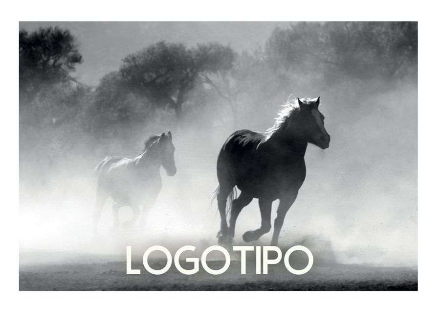 Logotipo de Ethos Equus