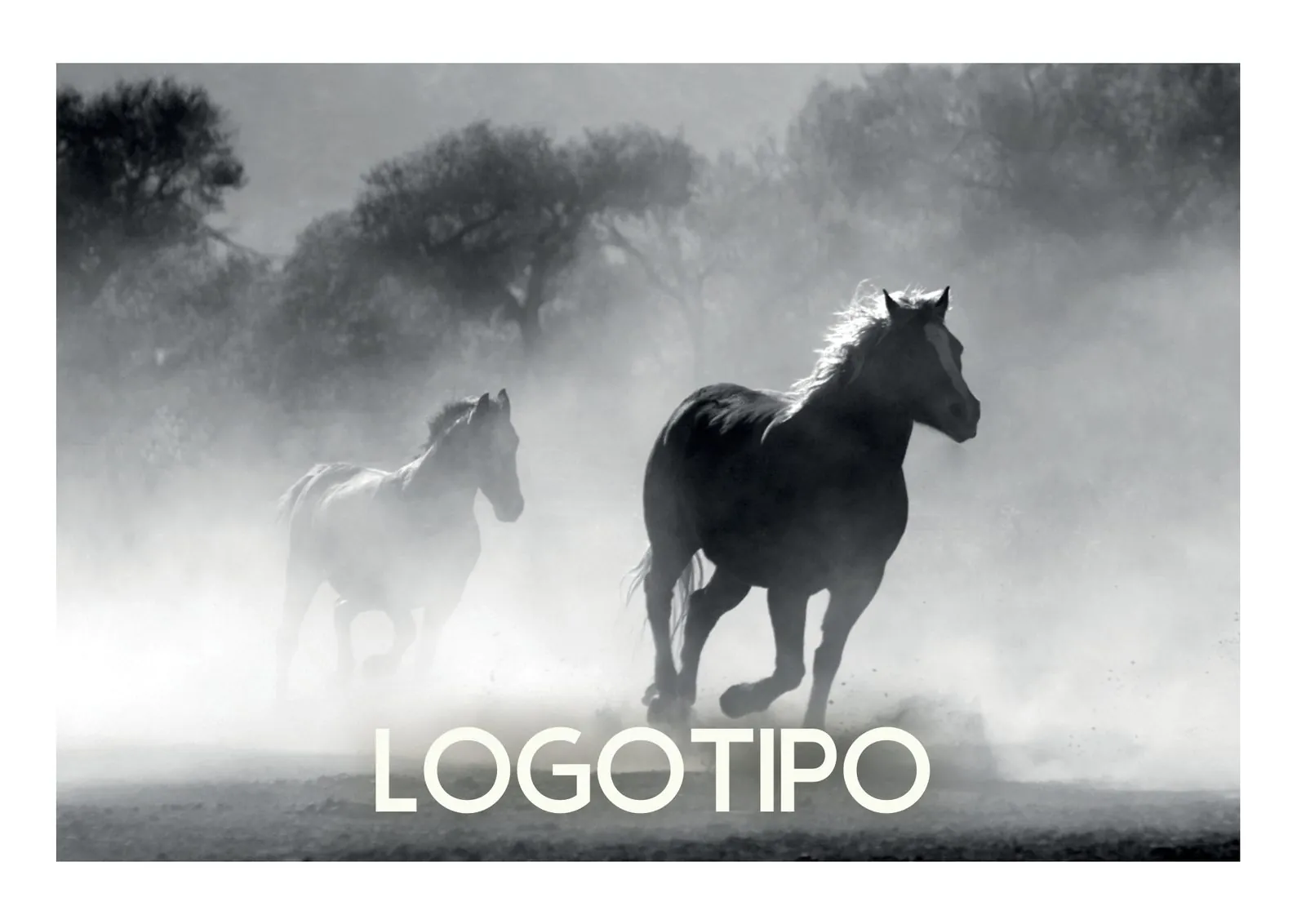 Logotipo de Ethos Equus